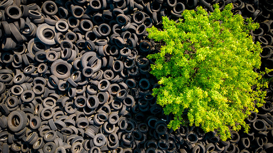 Huella de Carbono Negativa