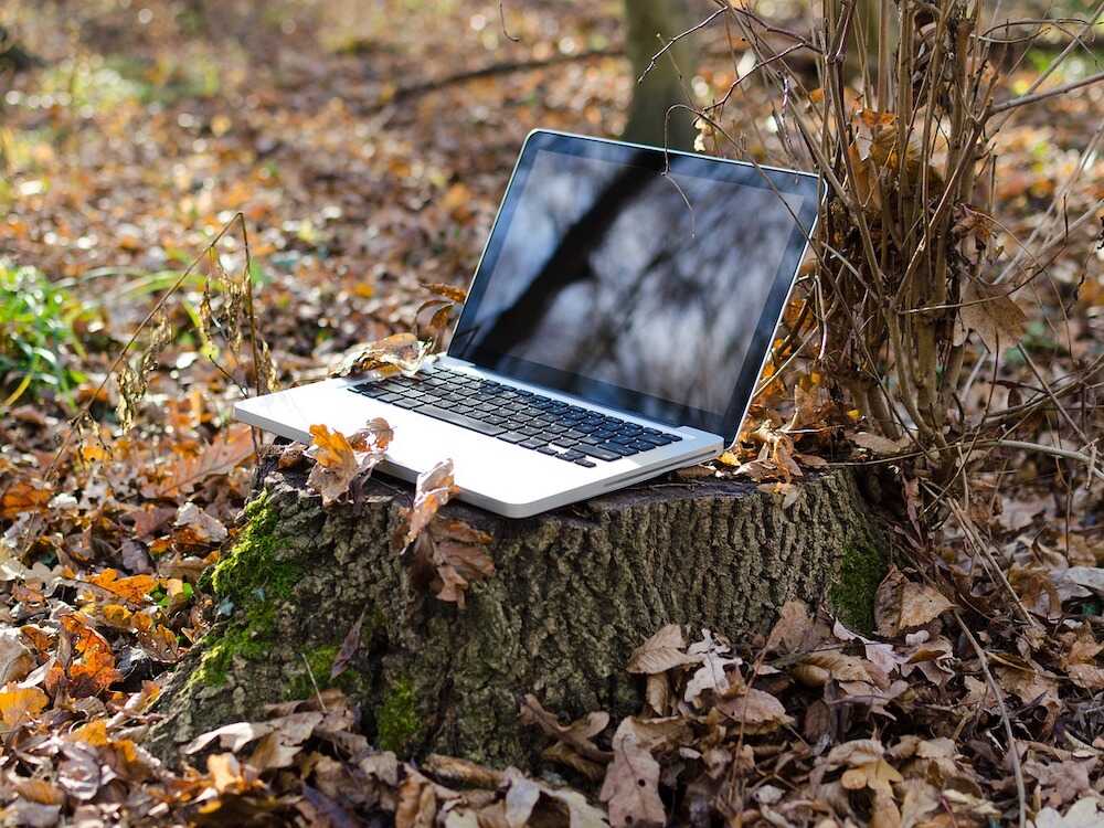 trabajar al aire libre sera tendencia